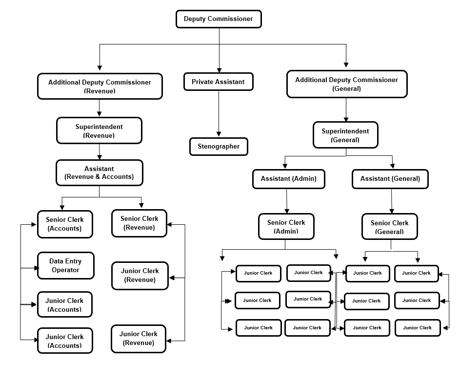 Organization Chart of the District Administration